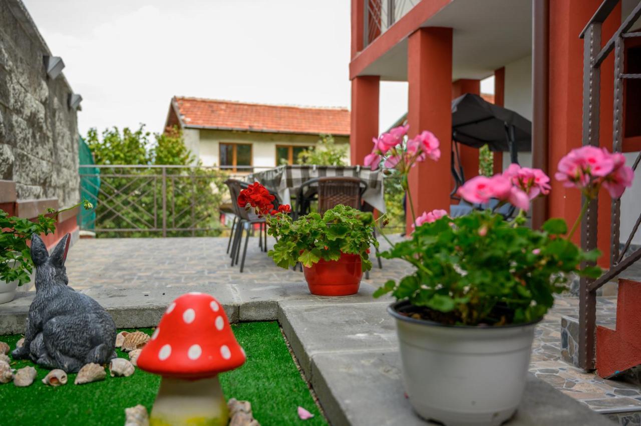 Къща За Гости „Жоро И Дани “ Villa Sapareva Banya Buitenkant foto
